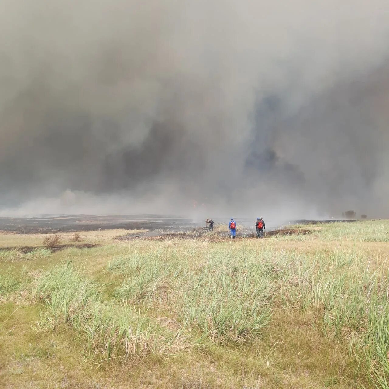 Погода лаптев лог алтайский край. Лаптев Лог Угловский район. Пожар Барнаул. Пожар в селе Лаптев Лог. Пожары в лесах.