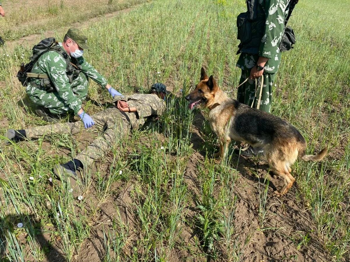 Пограничная безопасность рф. Пограничная служба Алтайский край.