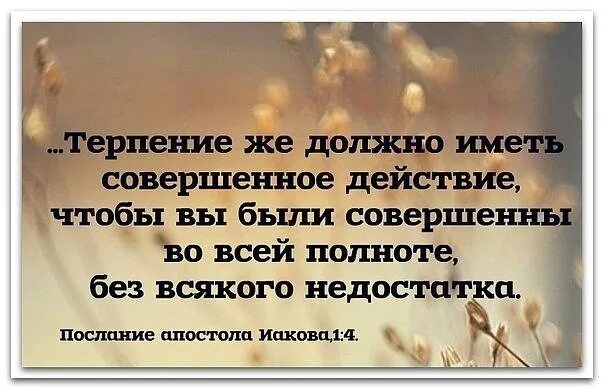 Обладает терпением. Имеющий терпение имеет всех. Терпение имеет совершенное действие. Терпение в Библии. Терпение производит совершенное.