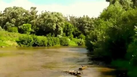 Уровень реки сура алатырь