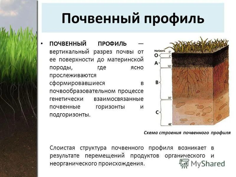 В чем состоит отличие почвы от горной. Строение почвы почвенные горизонты. Супесь чернозема почвенный профиль. Строение почвенного профиля. Структура почвы почвенные горизонты.