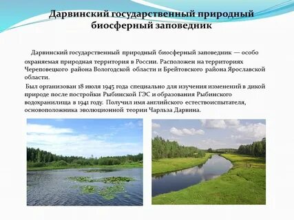 Сообщение про вологодскую область