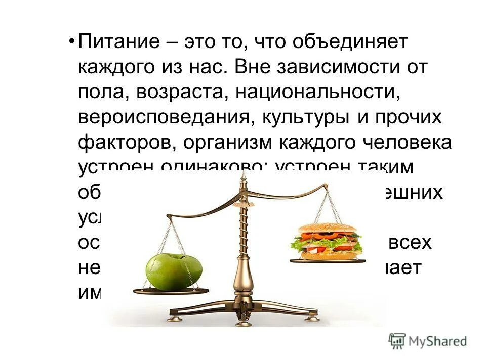 командный дух в коллективе. дружба в коллективе. дружные люди. доклад как музыка объединяет людей. что объединяет каждого человека.