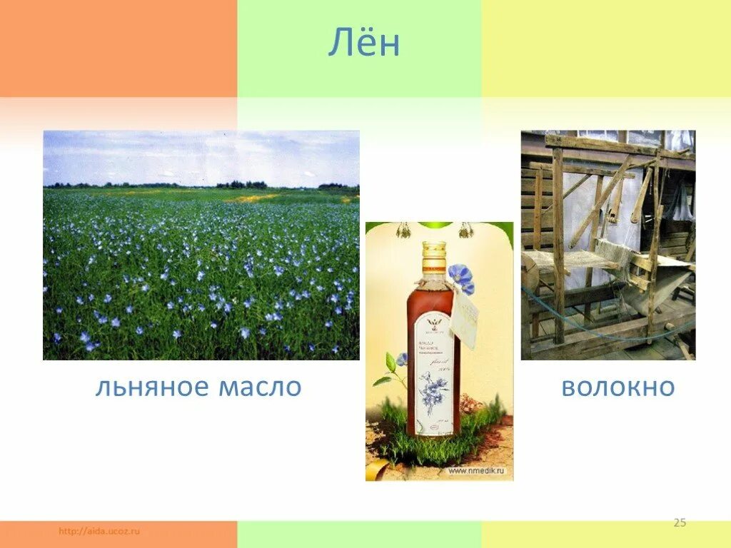 Проект растениеводство 4 класс окружающий мир. Растениеводство 4 класс окружающий мир. презентация на тему льняное масло. растениеводство в нашем крае 4 класс презентация. окружающий мир 4 класс тема растениеводство в нашем крае.