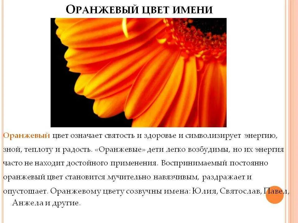 Оранжевый сайт 18. Оранжевый цвет. Смысл оранжевого цвета. Что означает оранжевый цвет. Оранжевые цвета названия.