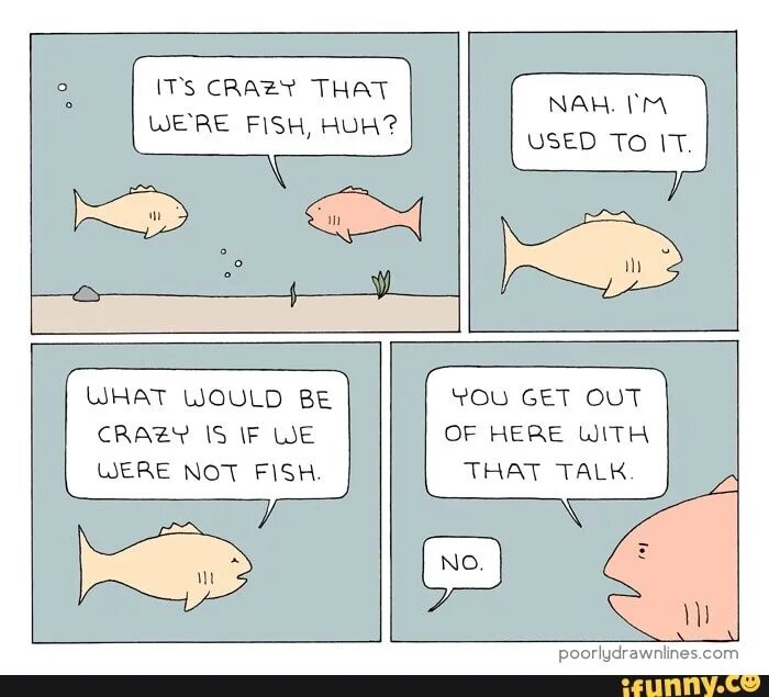 I like to be a fish. Huh Fish. Астрология рыбы комикс. Fish перевод. Комиксы про эволюцию рыбы.