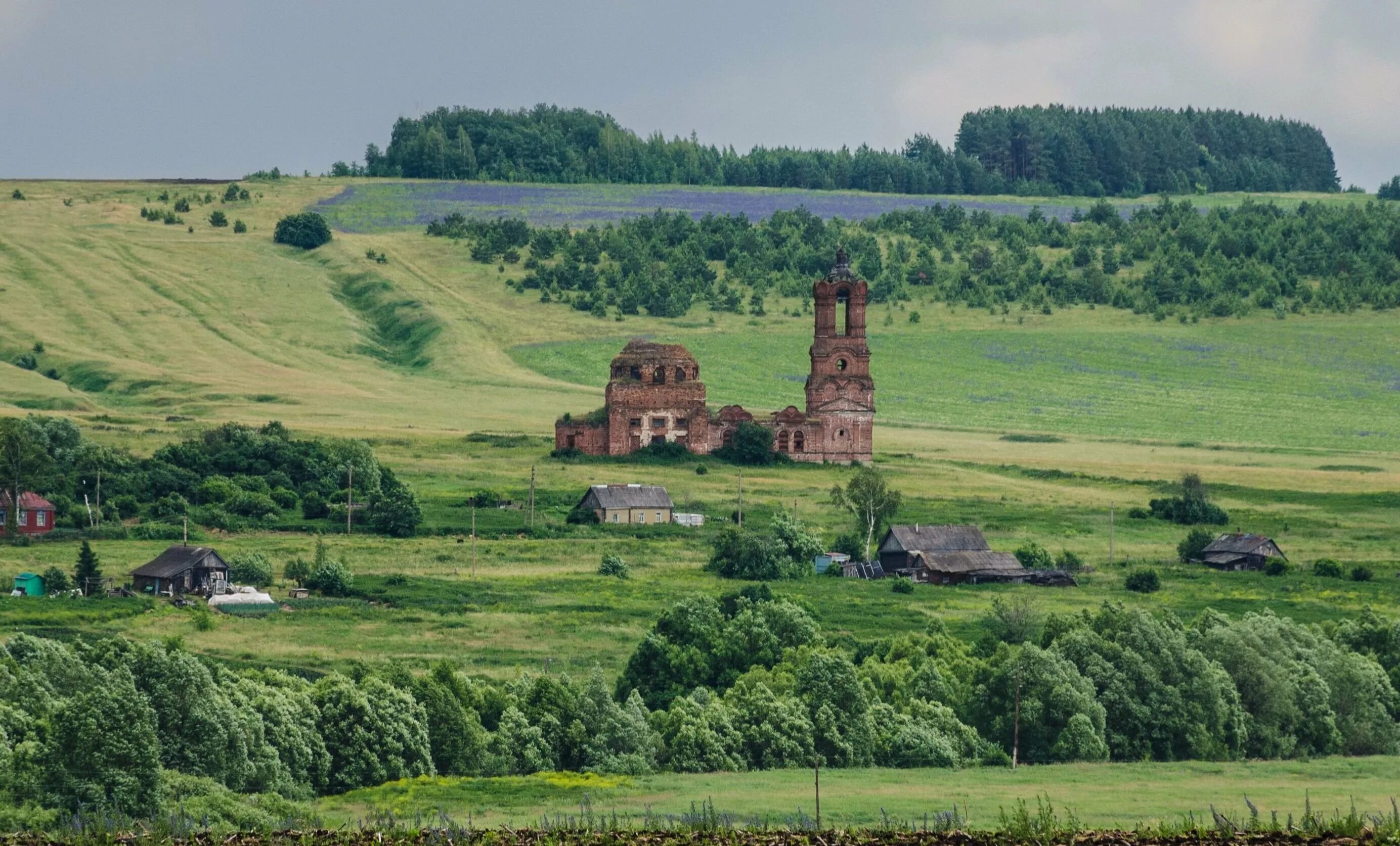 Информация пензенская область. Николо Азясь Пензенская. Пензенская природа Пензенской области. Николо райское Пензенская область.