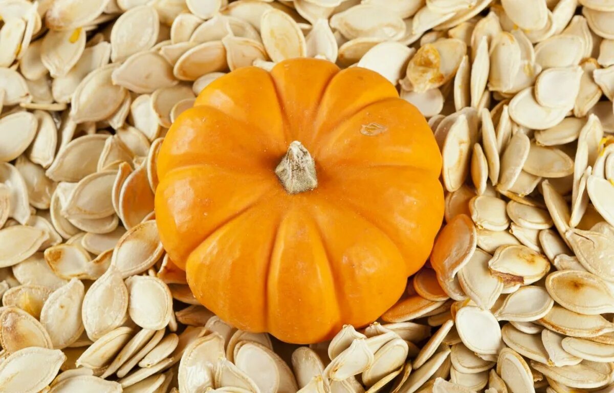 Как получить семена тыквы. Тыквенные. pumpkin seeds. pumpkin seeds png. здоровье семена тыквы 50 г.