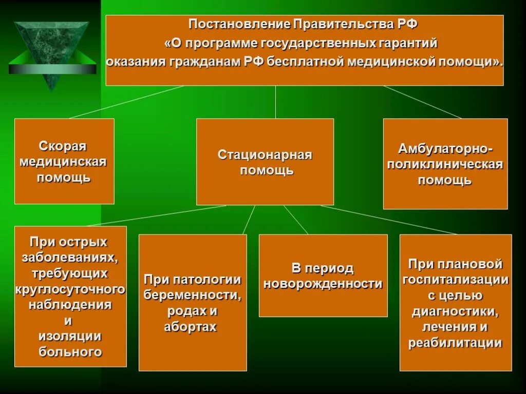 Государственная система оказания медицинской помощи. Программа государственных гарантий. Государственные гарантии. Стационарная помощь населению РФ это.