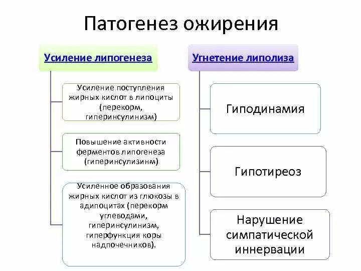 Патогенез первичного ожирения. Этиология и патогенез ожирения. Алиментарно-конституциональное ожирение патогенез. Ожирение заболевания патогенез вид органа микроскопия таблица.