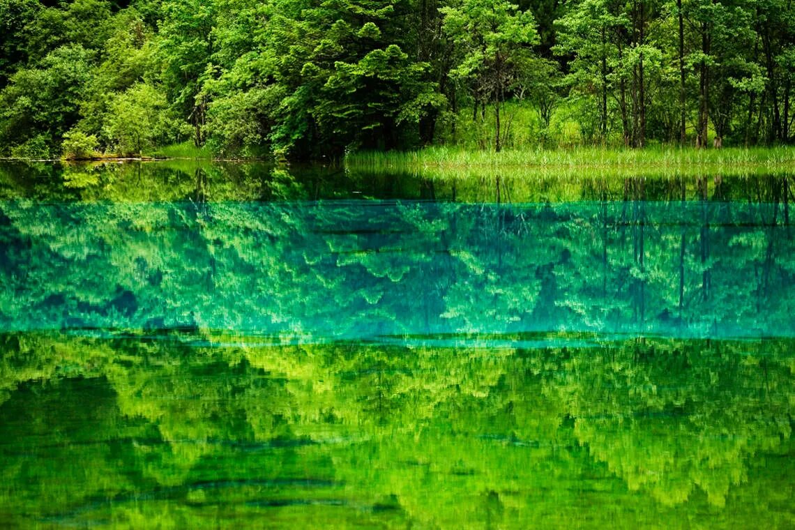 Зеленое море где