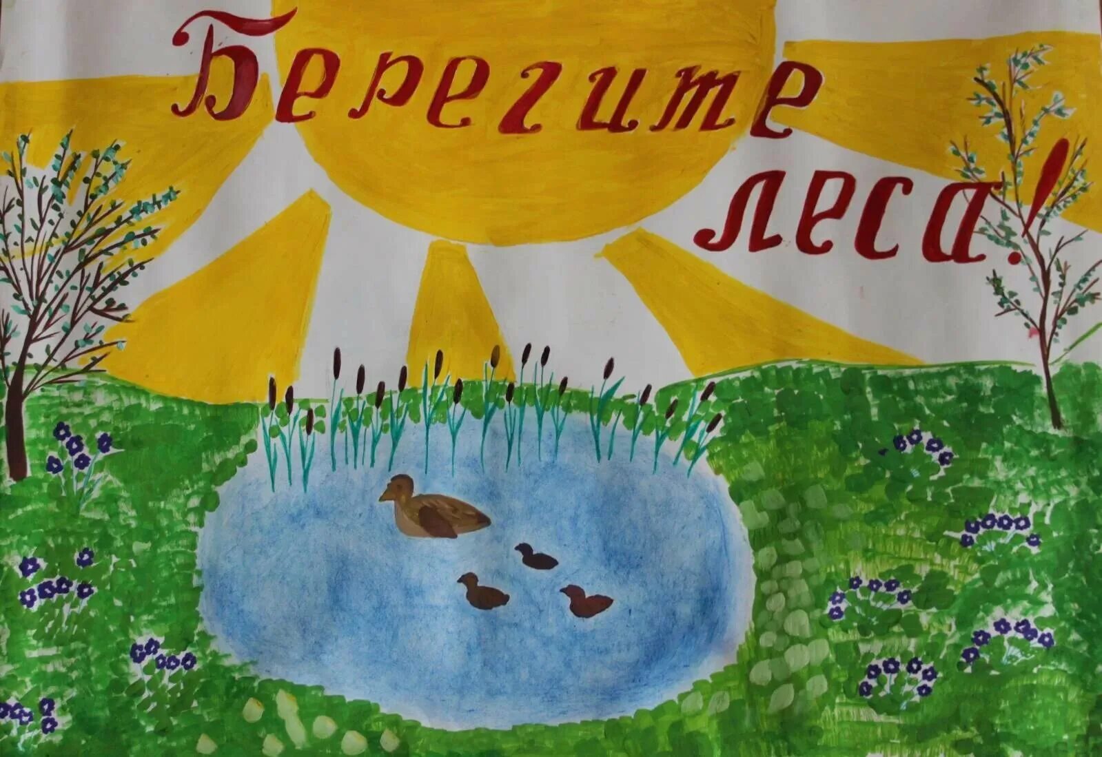 Рисунок берегите мир. Плакат на экологическую тему. Экологический плакат рисунки. Плакат берегите природу. Плакат береги природу.