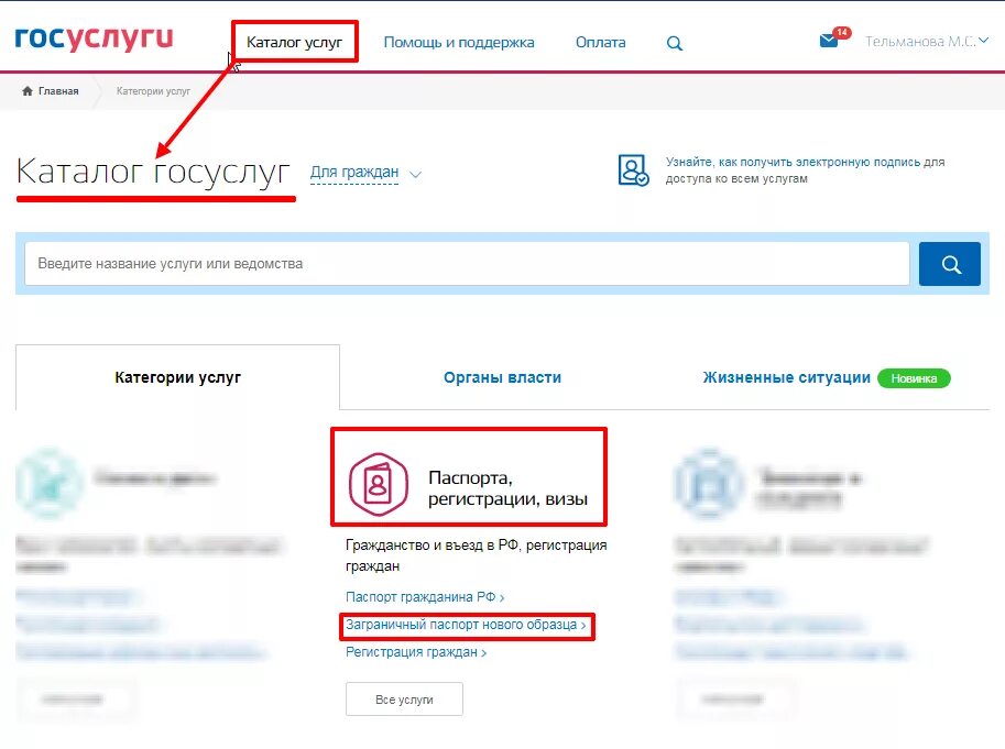 В каком разделе в госуслугах можно. Как заполнить паспорт на госуслугах. госуслуги образец. образец паспорта на госуслугах. как заполнять данные паспорта на госуслугах.