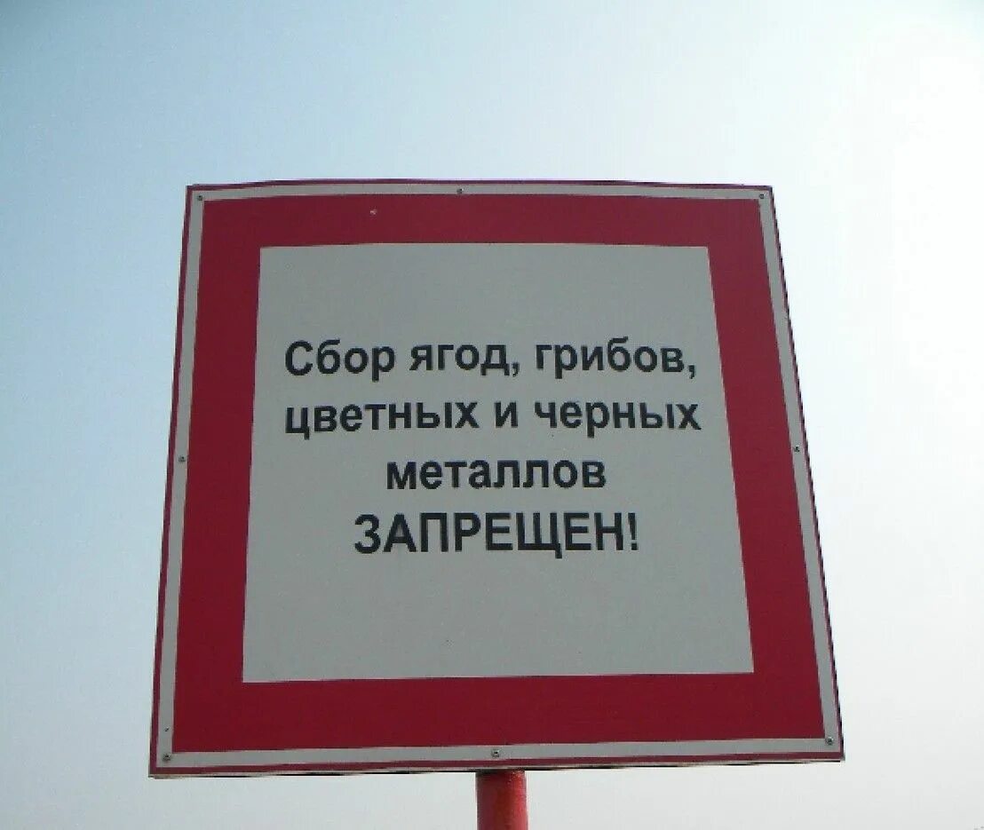 Зоопорно в россии запрещено. Ограничения прикольные картинки. Нельзя картинки прикольные. Смешные запреты приколы юмор. Все запрещено.