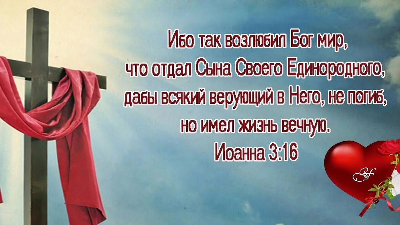 Сына отдавшего жизнь. Так возлюбил Бог мир. Ибо так возлюбил Бог. Ибо так возлюбил Бог мир что отдал сына своего Единородного. Ибо так возлюбил Бог мир Библия.