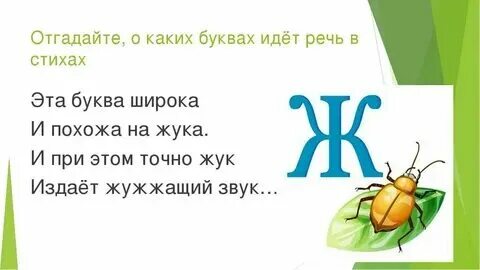 В каком слове 3 буквы ж