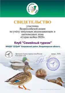 Серая акция