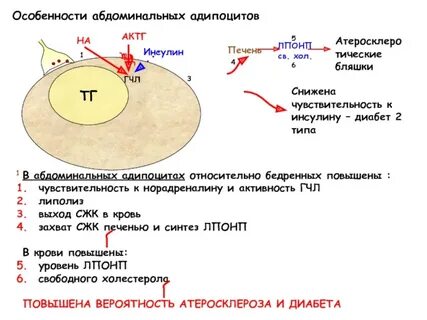 Субстрат клетки