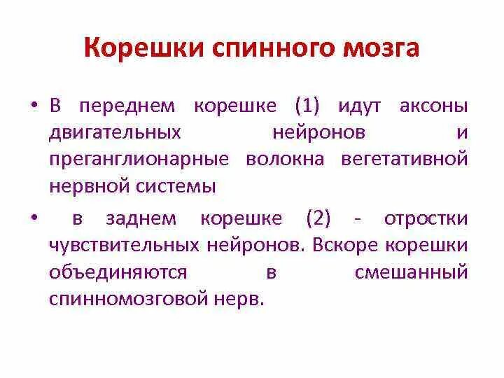 Функции корешков мозга