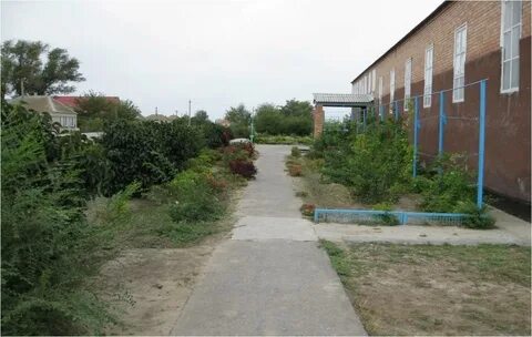 Погода абдул газы