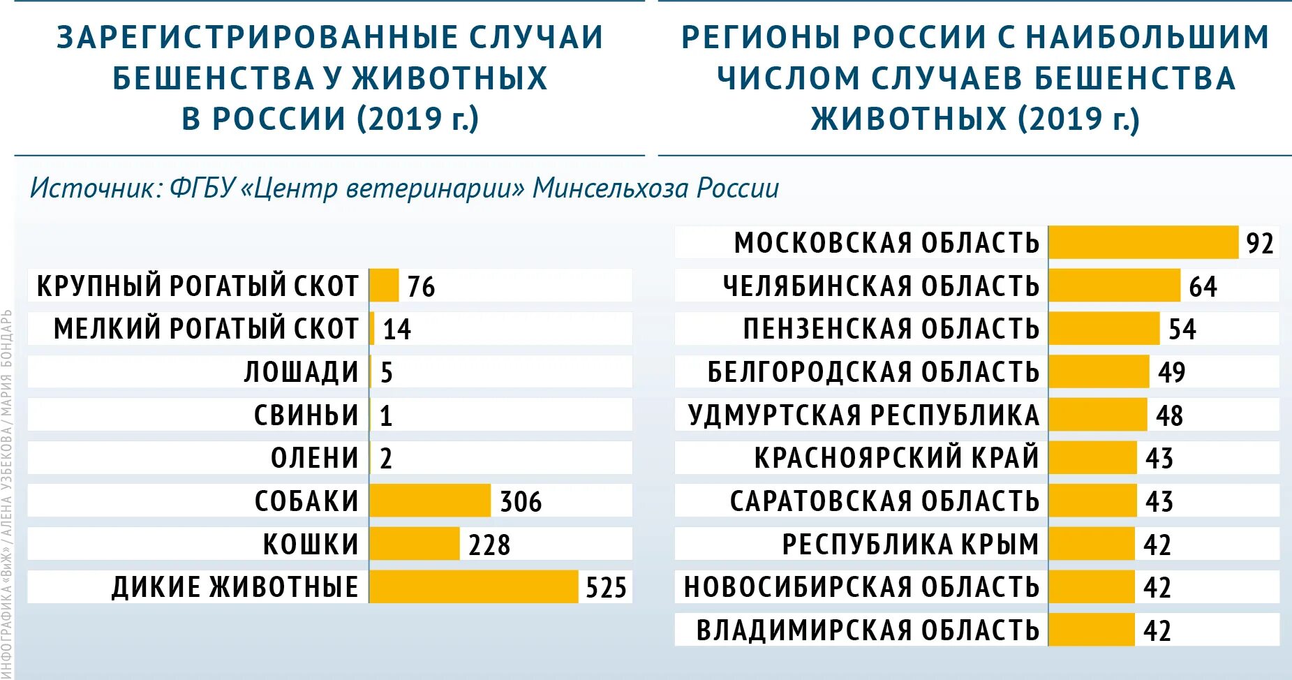 Сколько в год умирает людей от бешенства