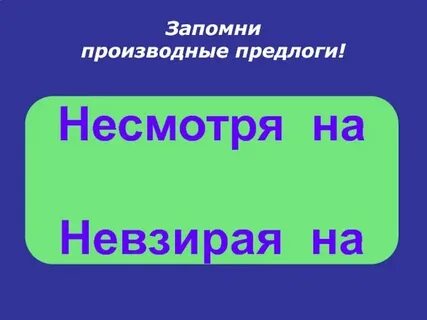Не смотря на какой предлог