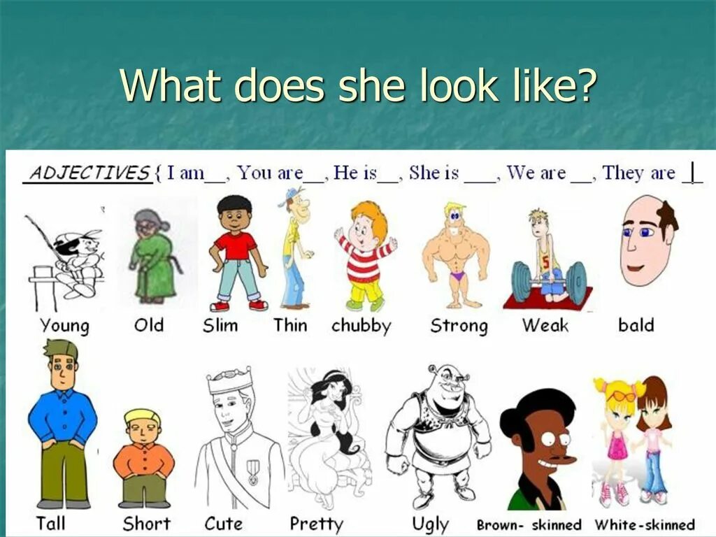 Look they the picture. Adjectives внешность. Appearance лексика для детей. Adjectives describing appearance. Appearance adjectives.