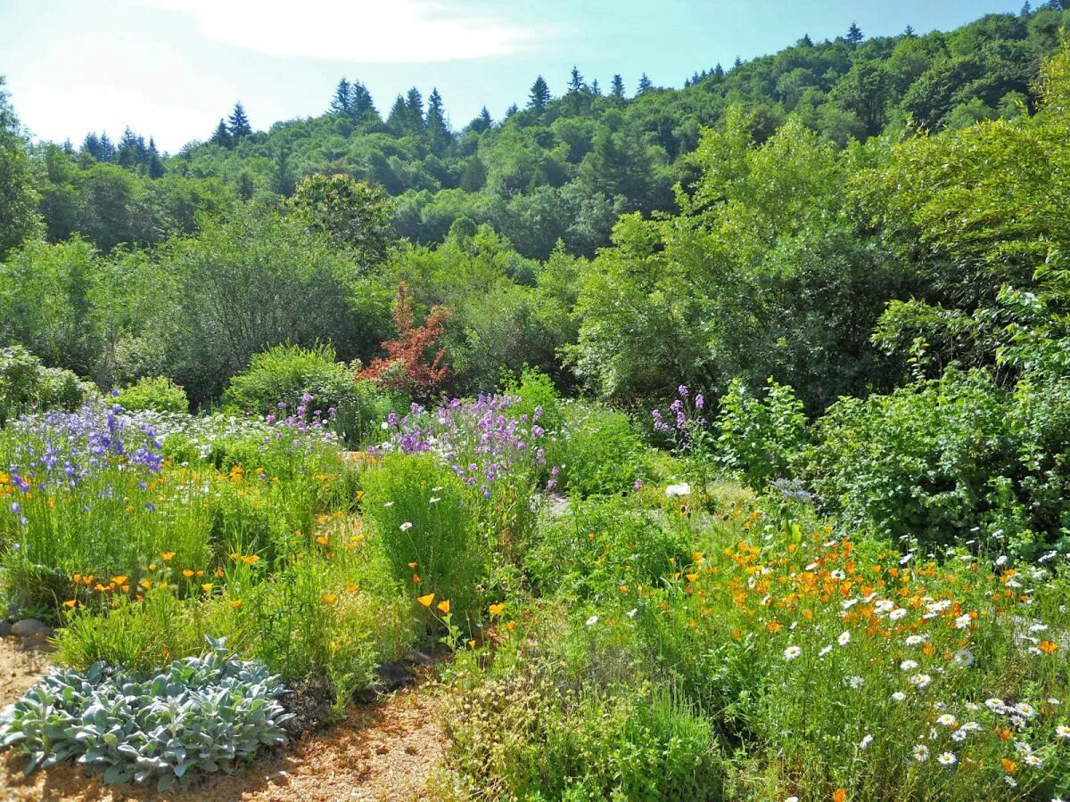 Группу лес сад огород. Пермакультурный сад. Food forest. Группу лес сад огород. Пермакультура англия.
