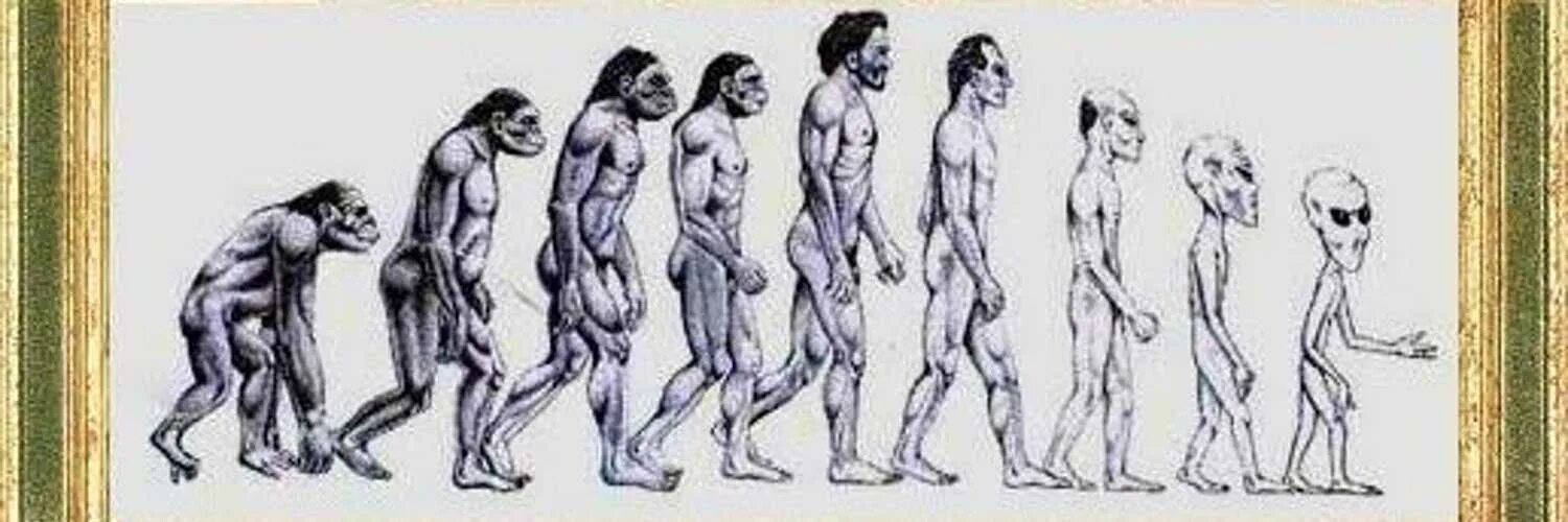 Эволюция человека хомо сапиенс. Будущее эволюции человека. Человек будущего Эволюция. Эволюция человечества в будущем.