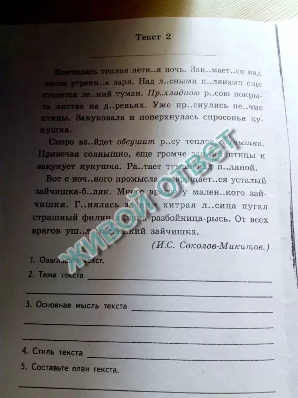 Основная мысль текста этим летом. Главная мысль текста чибисы. Сформулируй главную мысль текста Чибис. План к тексту чибисы. Сформулируйте главную мысль текста чибисы.