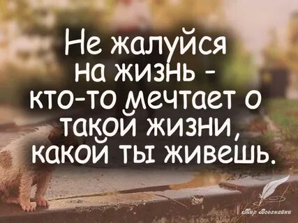 Давайте на главном о жизни