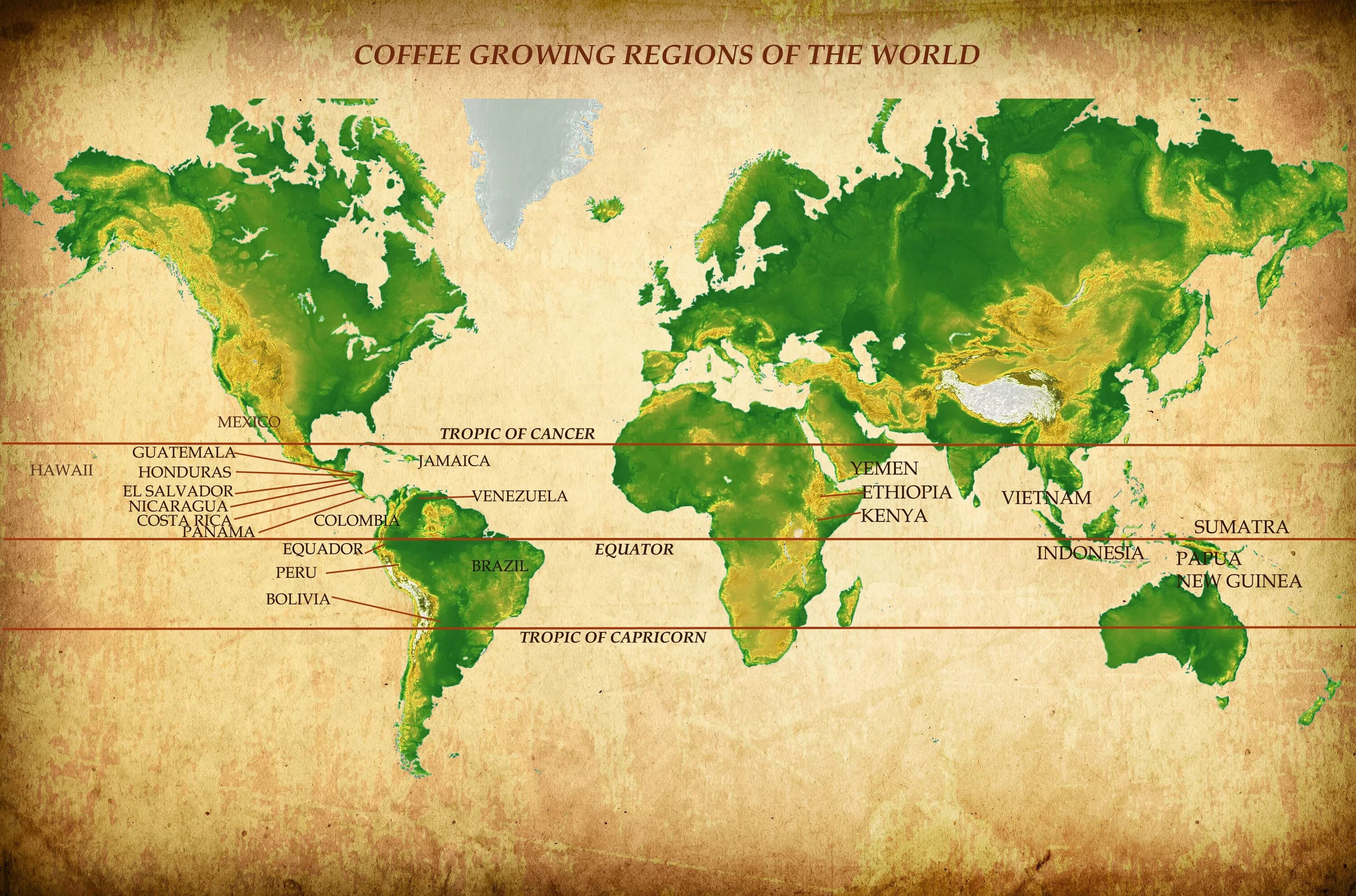 Кофейный пояс земли карта. Кофейный пояс земли. Регионы выращивания кофе. Распространение кофе. Coffees world