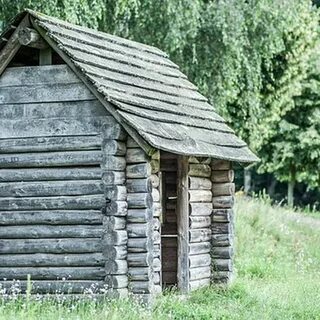 Старый сарай в лесу