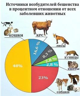 Сколько зараженных животных