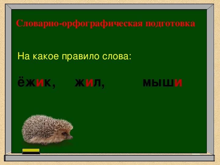 Состав слова ежика. Ежик 1 класс. Еж 1 класс. Слово еж. Единица 1 класса Ежик.