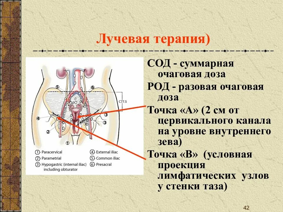 Пятьдесят род. Род и сод в лучевой терапии что это.