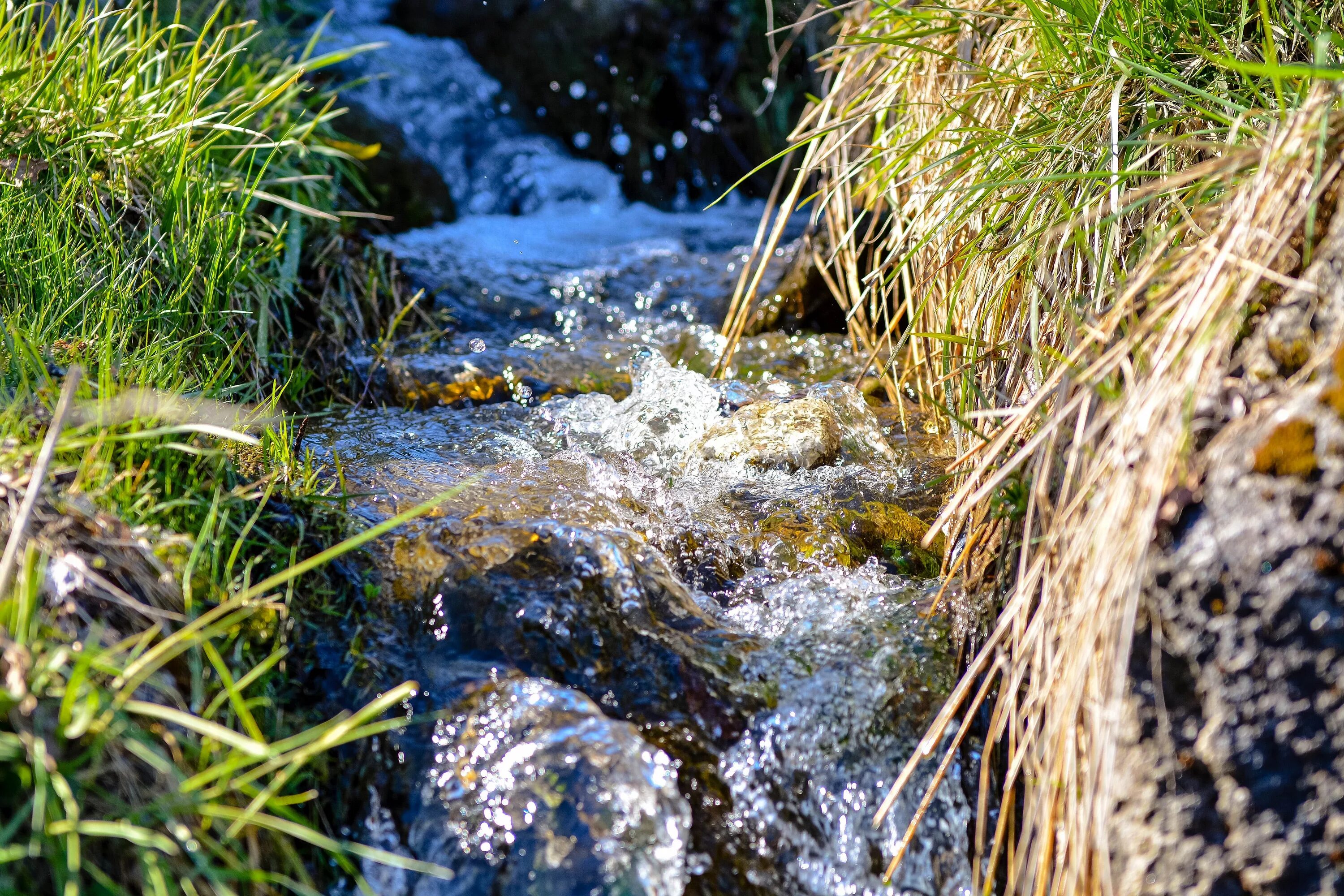 Потоками воды песня. Монастырский (ручей). Вода ручей. Прозрачный ручей. Поток воды ручей.