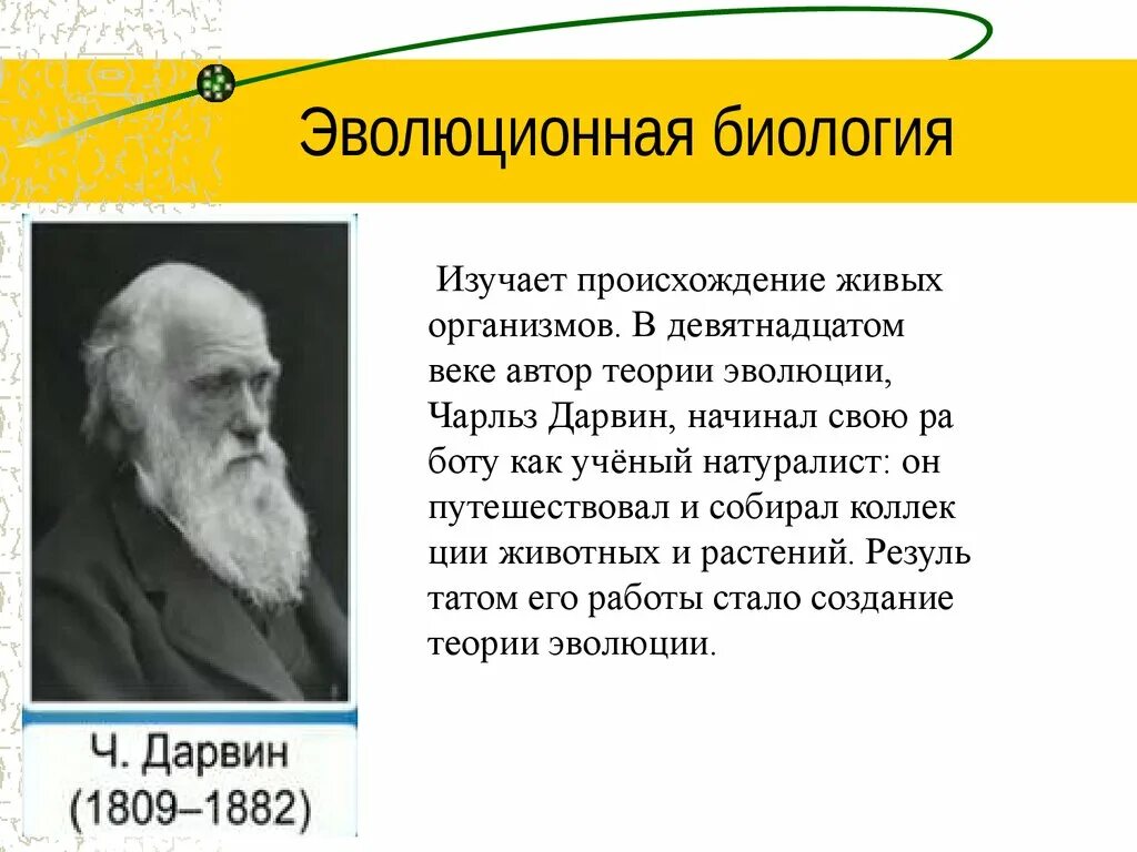 Ученые теория дарвина. Что изучает эволюционная биология. Теория эволюции в билооги. Научная эволюционная теория. Теория эволюции в биологии.