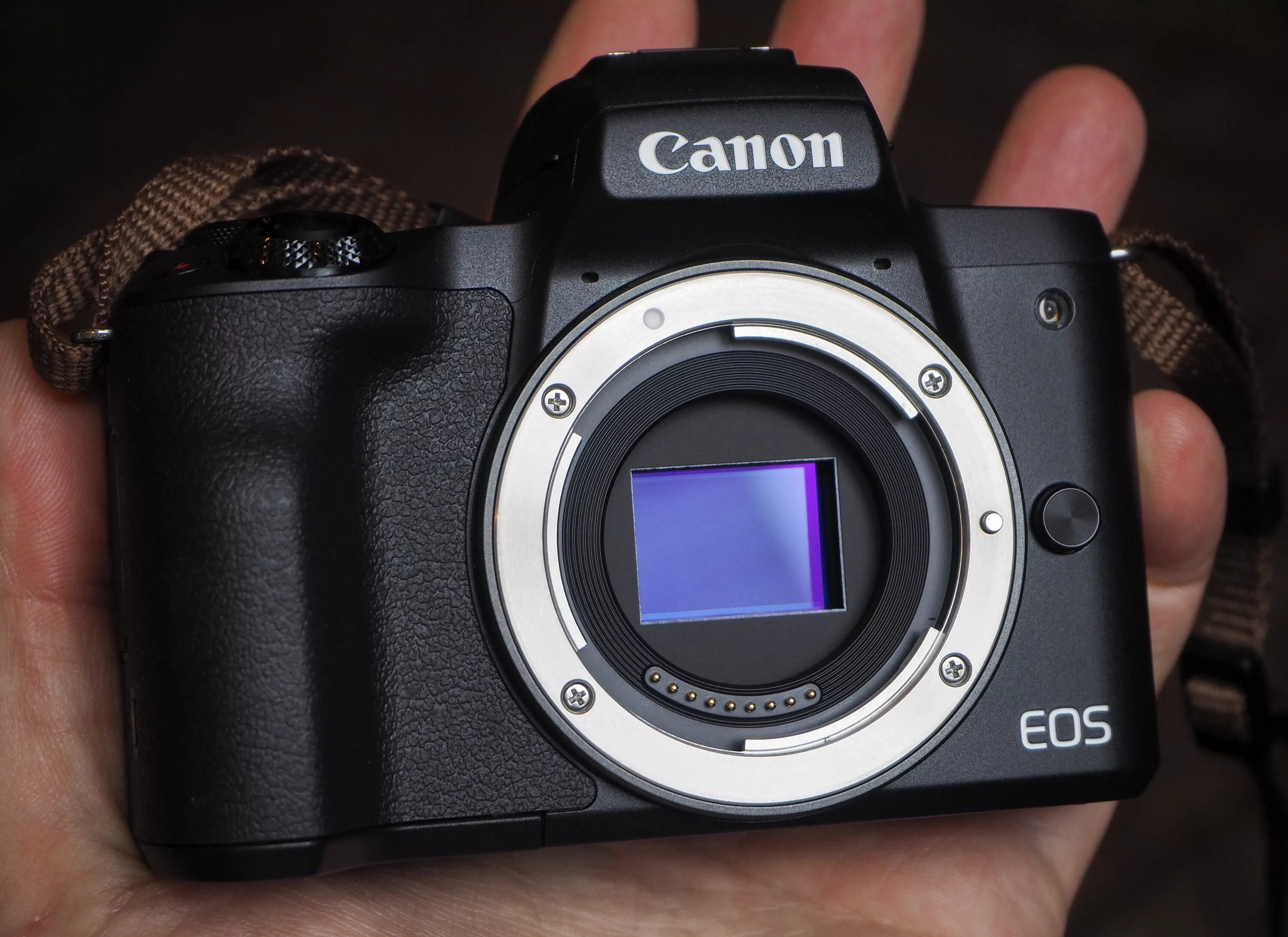 Canon m50. Canon EOS m50. Canon EOS m50 Kit. Canon EOS m50 Mark II. Canon m купить