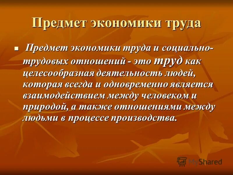 Реферат по труду. Реферат по труду