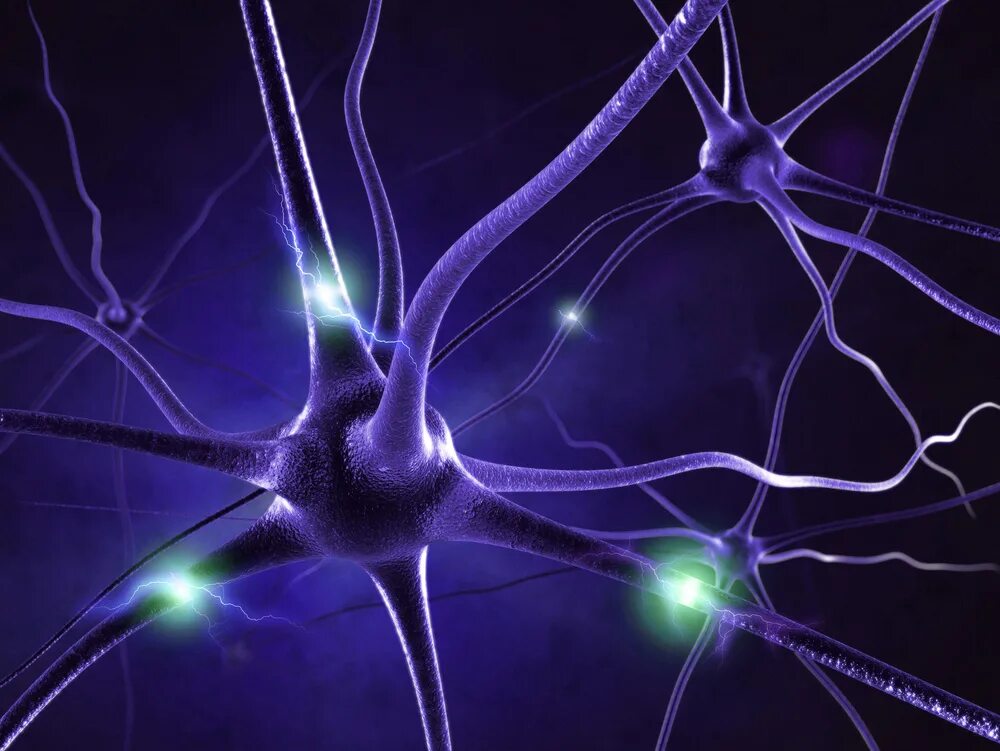 Neural write