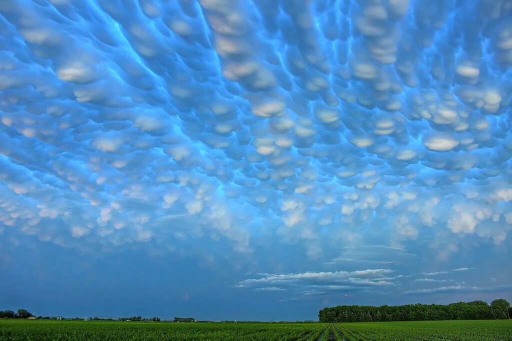 Sky ii