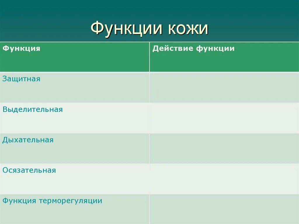 Таблица кожи человека. Таблица слой кожи особенности строения функции. Наружные покровы тела строение и функции кожи таблица. Строение и функции кожи таблица. Функции кожи.