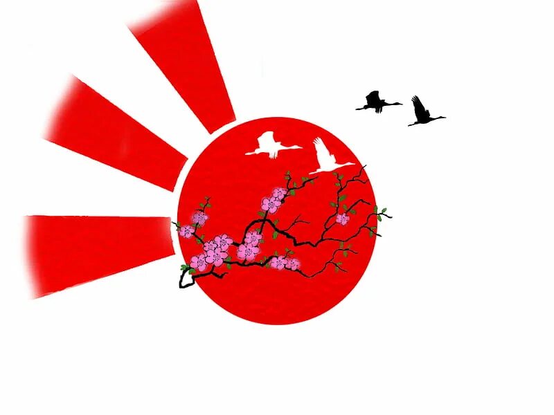 Empire of the sun cherry blossom