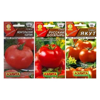 Томат богатырь характеристика