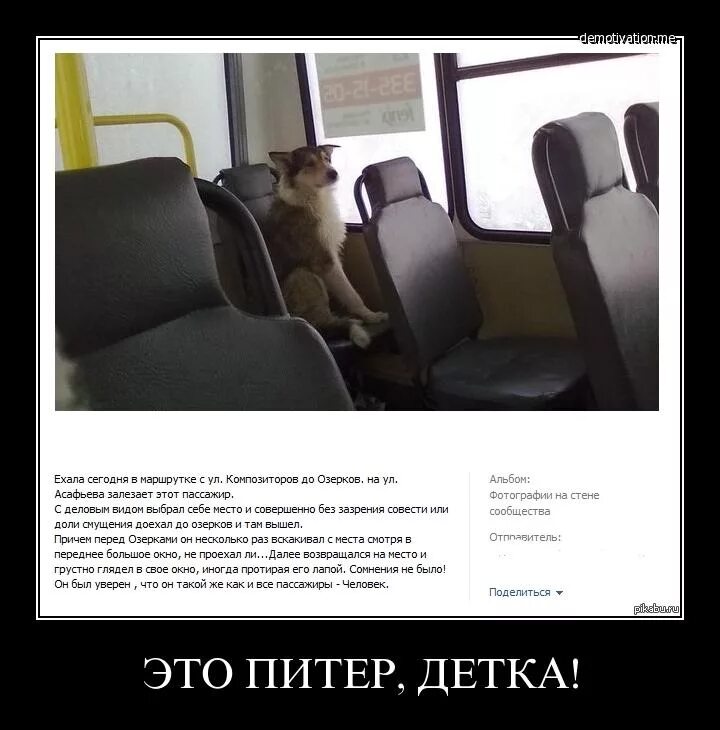 Как доеду посмотрю