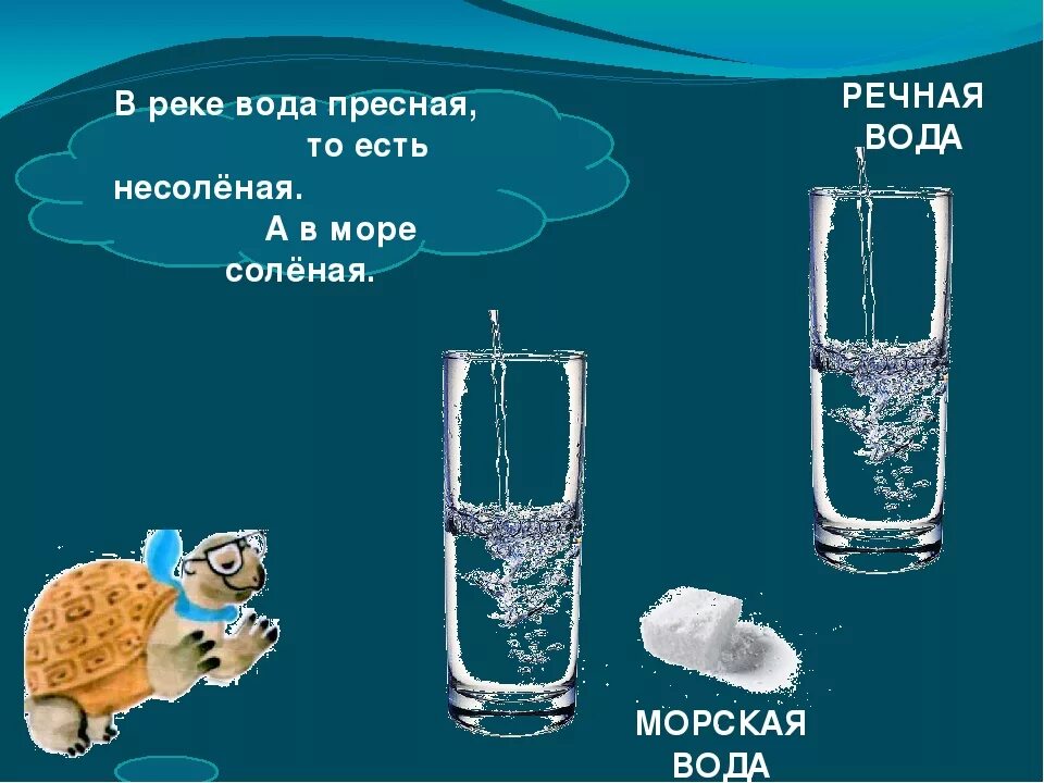 Воду отличает. Пресная и соленая вода. Пресная вода. Соленая вода питьевая. Свойства соленой воды.