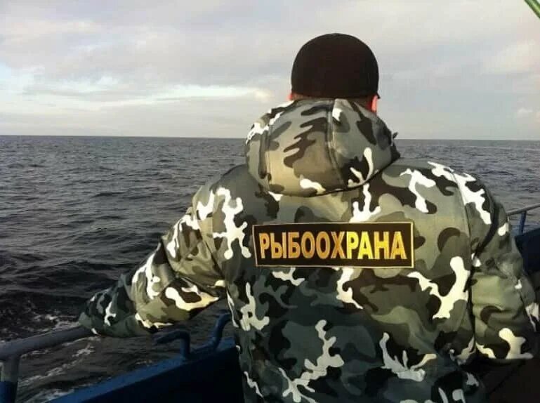 Охраны рыбных запасов. Государственный инспектор рыбоохраны. Охраны рыбных запасов. Охрана рыб. Рыболовство и охрана рыбных запасов плакат.