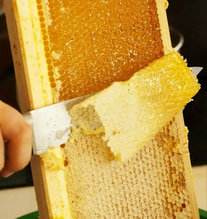 Воск в сотах. Забрус пчелиный. Пчелиный воск забрус. Мед забрус. Пчелиный забрус лечебные.