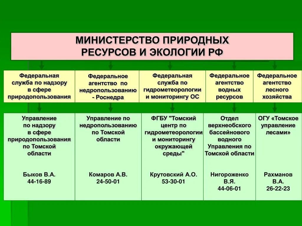 Министерство природных ресурсов и экологии структура. Минприроды структура ведомства. Структура Министерства природных ресурсов и экологии РФ. Министерство природных ресурсов РФ структура.